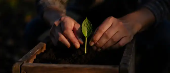 Демографический сдвиг: в России зафиксировано заметное снижение уровня абортов