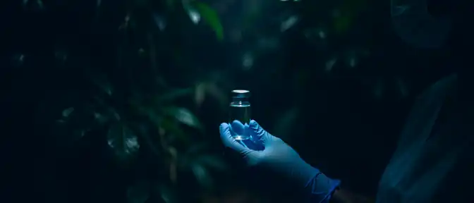 Невидимый убийца из джунглей: как вирус Эбола продолжает терроризировать Африку и чем он опасен для всего мира